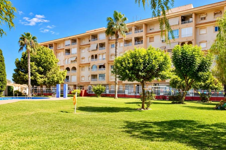 Sale - Apartment - Centro - Torrevieja